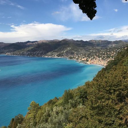 Villa Cielomare Camogli Kültér fotó