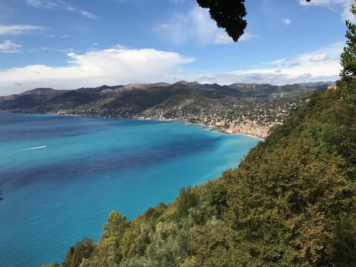 Villa Cielomare Camogli Kültér fotó