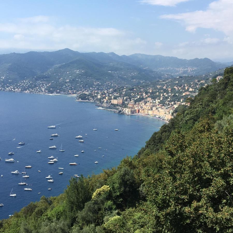 Villa Cielomare Camogli Kültér fotó