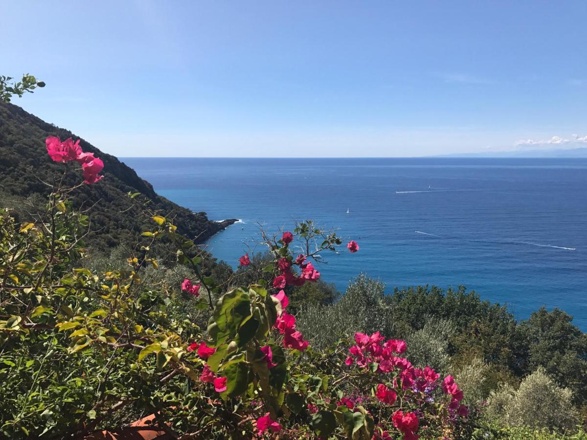 Villa Cielomare Camogli Kültér fotó