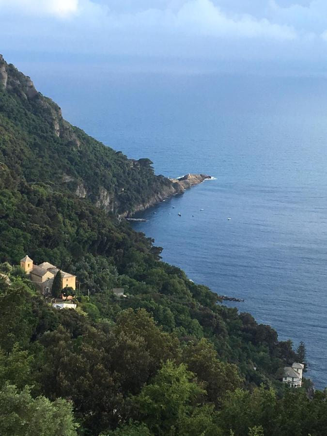 Villa Cielomare Camogli Kültér fotó