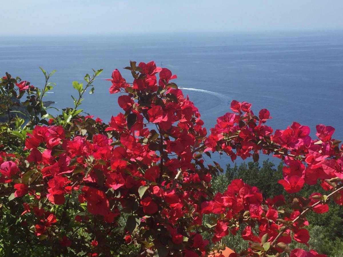 Villa Cielomare Camogli Kültér fotó